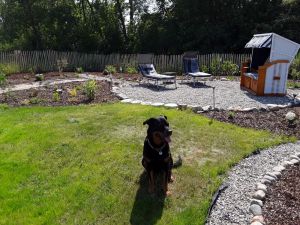 mit Strandkorb und Liegestühlen