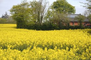 Bild 8: Ferienwohnung Sonne auf dem Bauernhof