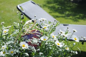 Bild 13: Ferienwohnung Sonne auf dem Bauernhof