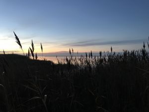 Bild 16: Dänisches Ferienhaus am Naturstrand mit Kamin & Sauna***Hunde willkommen***