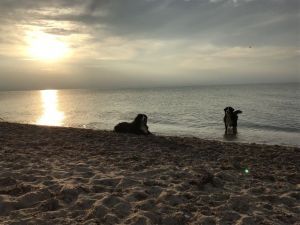 Nach einem wunderbaren Tag am Meer