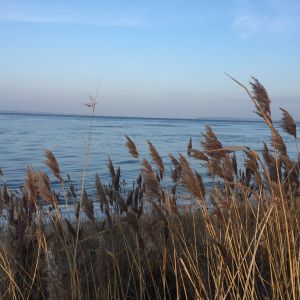Winterimpression