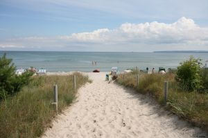 Bild 5: Rügen: Direkt am Sandstrand, schöner Meerblick