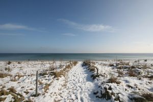 Bild 6: Rügen: Direkt am Sandstrand, schöner Meerblick