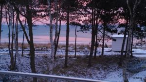 Bild 8: Rügen: Direkt am Sandstrand, schöner Meerblick
