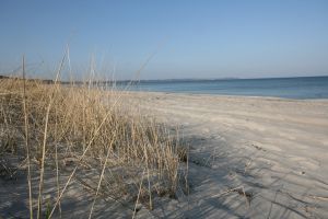 Bild 9: Rügen: Direkt am Sandstrand, schöner Meerblick