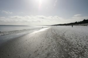 Bild 10: Rügen: Direkt am Sandstrand, schöner Meerblick