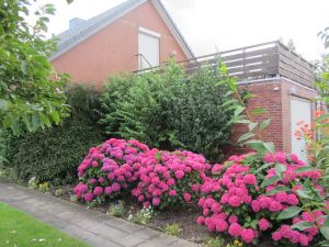 Bild 3: Ferienwohnung an der Ostsee im schönen Ostangeln,Steinberg, Geltinger Bucht