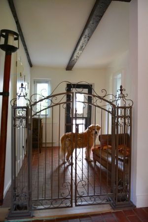 Bild 20: Traum-Ferienhaus für den Ostsee-Urlaub mit mehreren Hunden