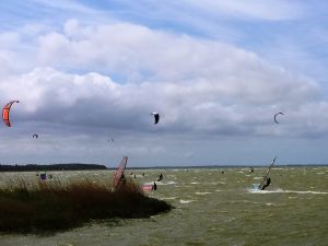 Bild 17: Landhaus am Teich - Ferienhaus türkis - Saaler Bodden - Ostsee