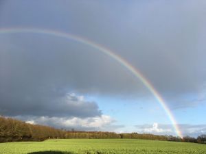 Blick aus dem Fenster Nach einem Regenschauer zeigt sich oft ein Regenbogen auf der Ostseite.