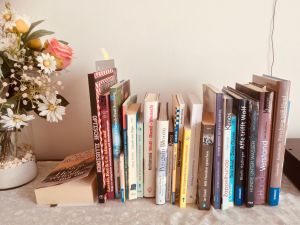 kleine Bibliothek Einige interessante Hunde-Bücher liegen im Ferienhaus für sie aus.