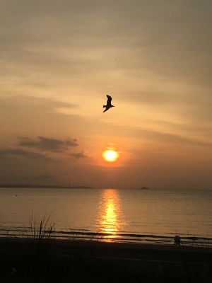 Sonnenaufgang in Scharbeutz Mit ca. 12 Autominuten ist man schnell am Strand. Bild vom Juli 2021, 5.36 Uhr.