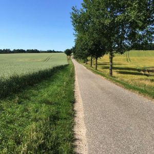 Zufahrt zum Ferienhäuschen Das Ferienhaus liegt äußerst ruhig. Keine Durchgangsstrasse.