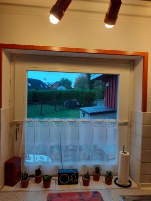 Blick in den Garten Dreh/Kippfenster