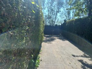 Bild 4: Das besondere Ferienhaus mit Sauna auf der Insel Usedom