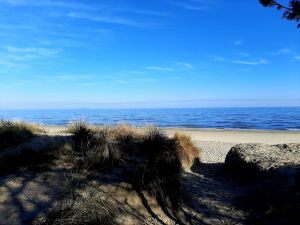 Bild 30: Das besondere Ferienhaus mit Sauna auf der Insel Usedom