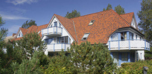Bild: Ferienwohnung Oewern Diek 33 in Wustrow in unmittelbarer Ostseestrandnähe