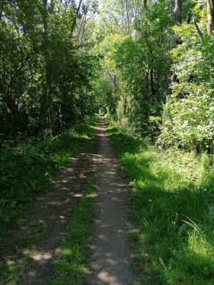 Führt direkt am Haus vorbei und lädt zu kilometerweiten Rad und Wandertouren ein.