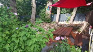 Bild 15: Ferienwohnung Föhr in der schönen Schleiregion