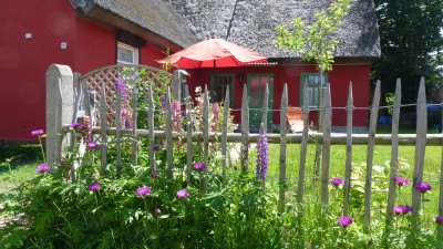 Bild: Ostseeurlaub mit Hund / NaturParadies Weststrand / Ferienwohnung Meerwunder
