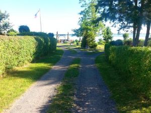 Bild 5: Ferienhaus mit gemütlichem Wintergarten