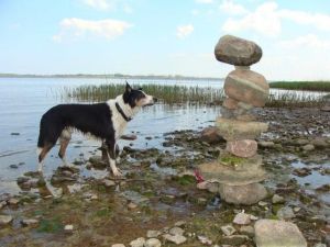 Bild 7: Ferienhaus mit gemütlichem Wintergarten