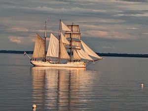 Bild 17: Kuscheliges Ferienhaus mit Meerblick in der Lübecker Bucht bei Grömitz