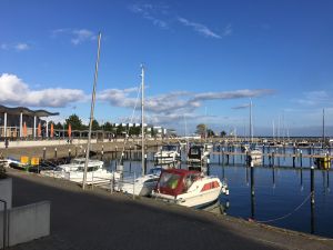 Hafen in Damp