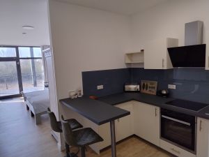 Blick durch den Wohn-/Schlafbereich zum Balkon