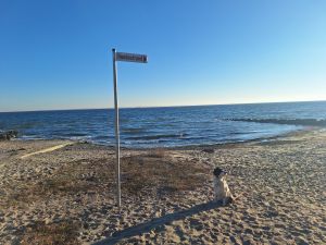 Bild 13: Klein aber Fein