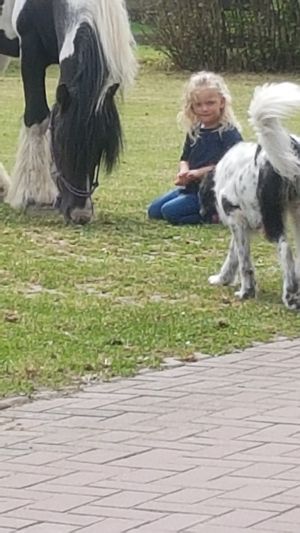 Bild 14: Klein aber Fein