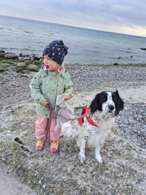 Bild 16: Klein aber Fein