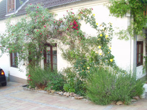 Ansicht Ferienwohnung 7934