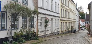 Bild 8: FeWo Lütt Matten im Herzen Flensburgs und dennoch idyllisch und ruhig