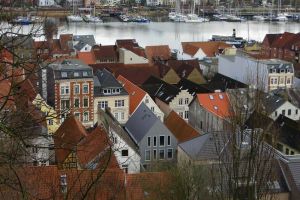 Bild 16: FeWo Lütt Matten im Herzen Flensburgs und dennoch idyllisch und ruhig