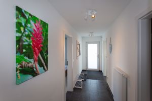 Bild 5: 5 Sterne Ferienwohnung Boddenblick, Glowe
